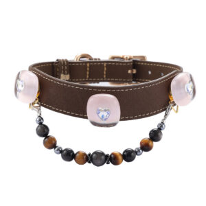 GZ5A8458 Square pet collar