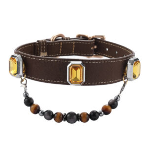 GZ5A8475 Yellow Gemstone Pet Collar