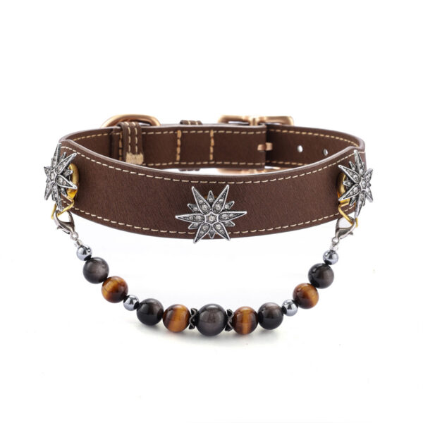 Hexagram Pet Collar