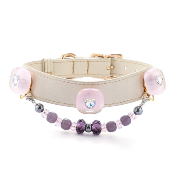 Square pet collar